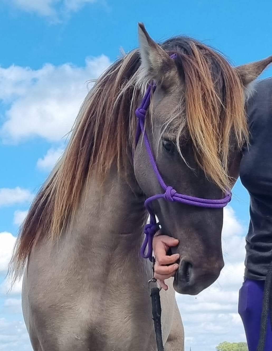 WhatsApp Image 2025-05-18 at 08.17.49 (1)