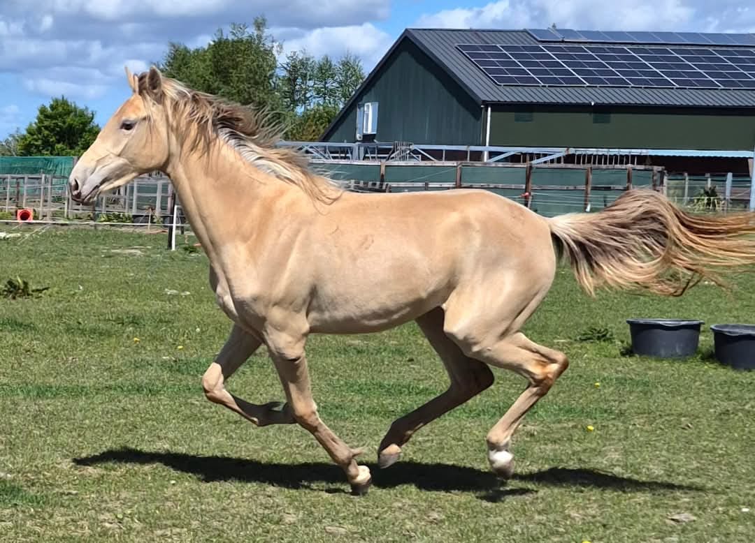 WhatsApp Image 2025-06-06 at 13.04.33 (2)