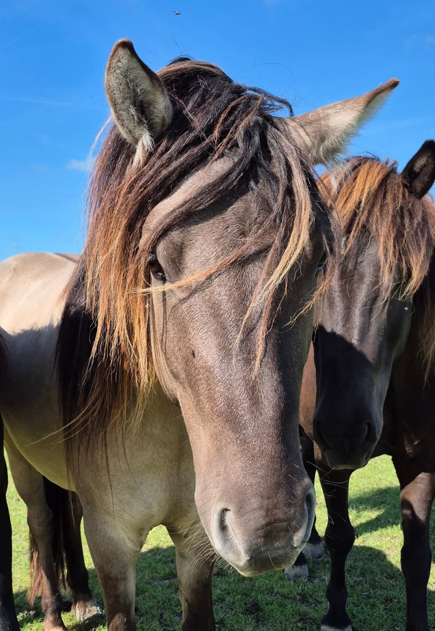 WhatsApp Image 2025-07-23 at 15.40.35