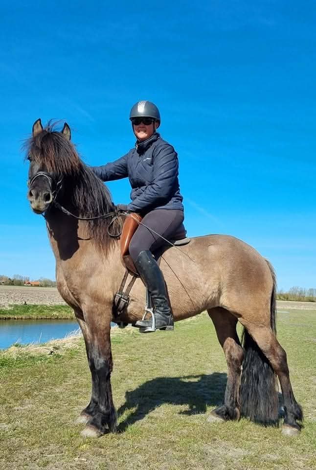 WhatsApp Image 2025-07-23 at 15.41.16