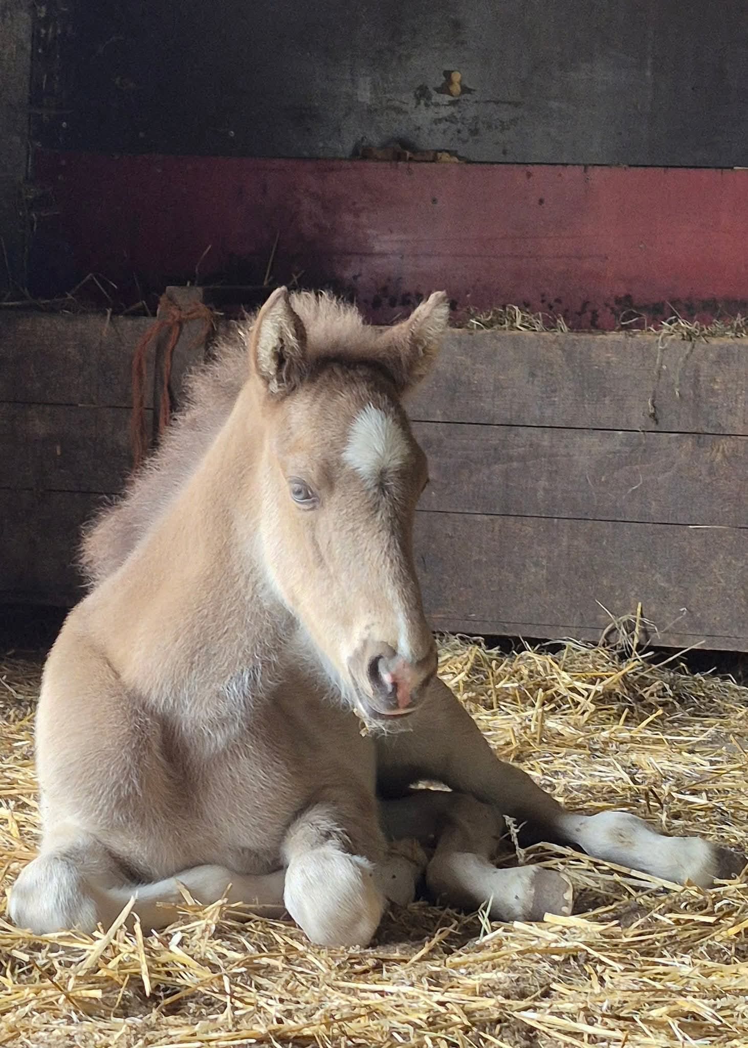 WhatsApp Image 2025-07-23 at 15.41.45