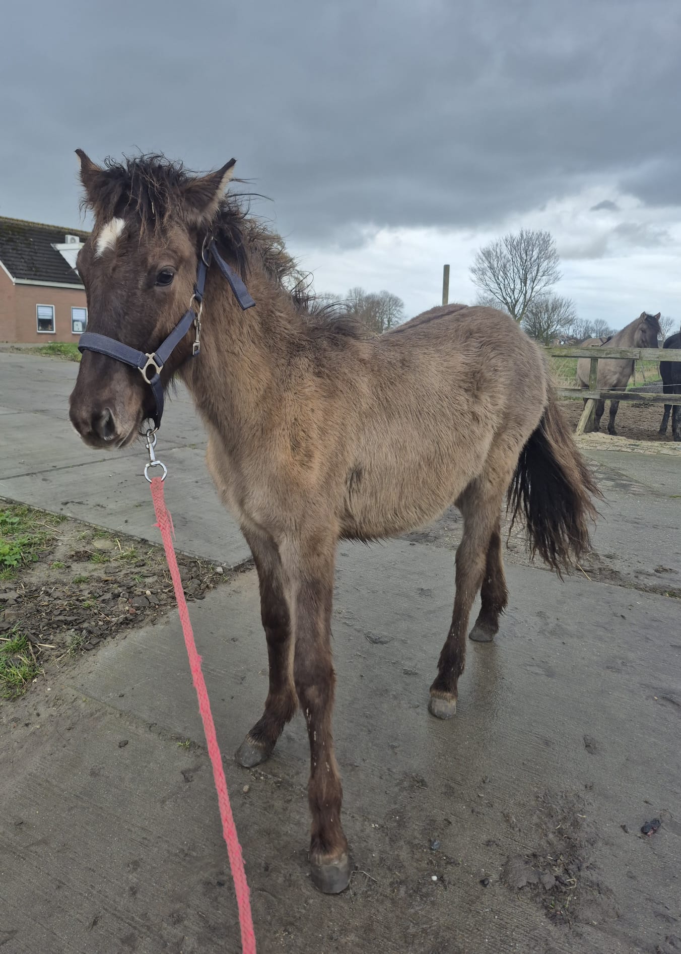 WhatsApp Image 2026-02-28 at 13.50.41