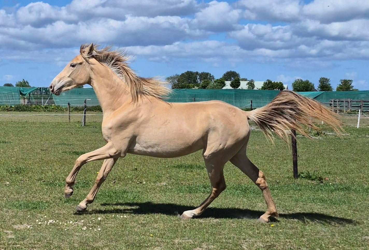 WhatsApp Image 2026-02-28 at 13.55.52 (1)