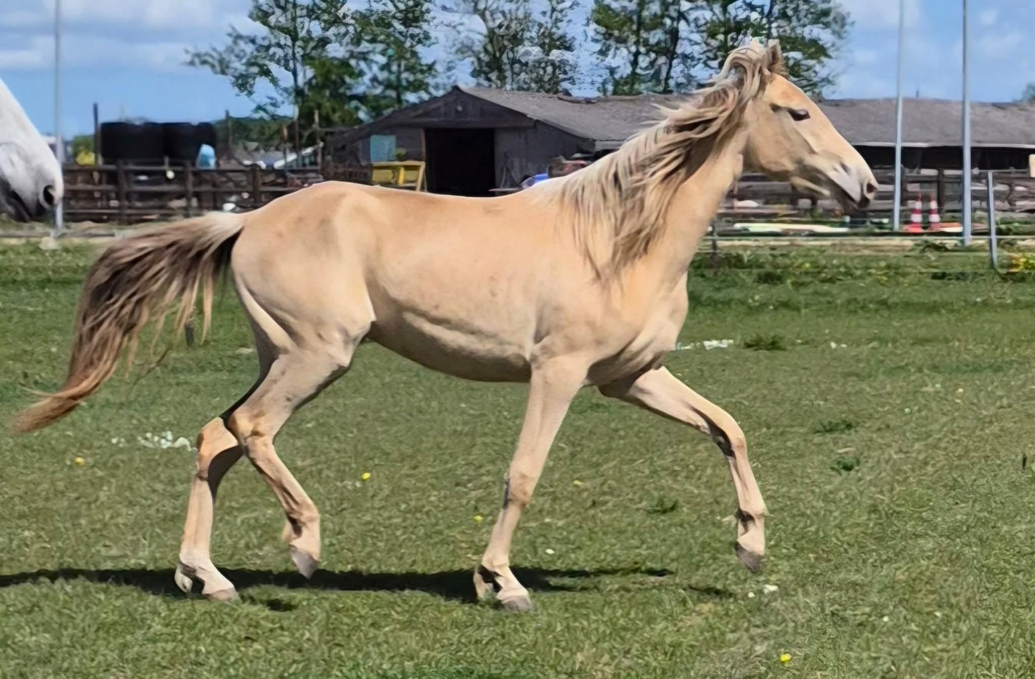 WhatsApp Image 2026-02-28 at 13.55.52