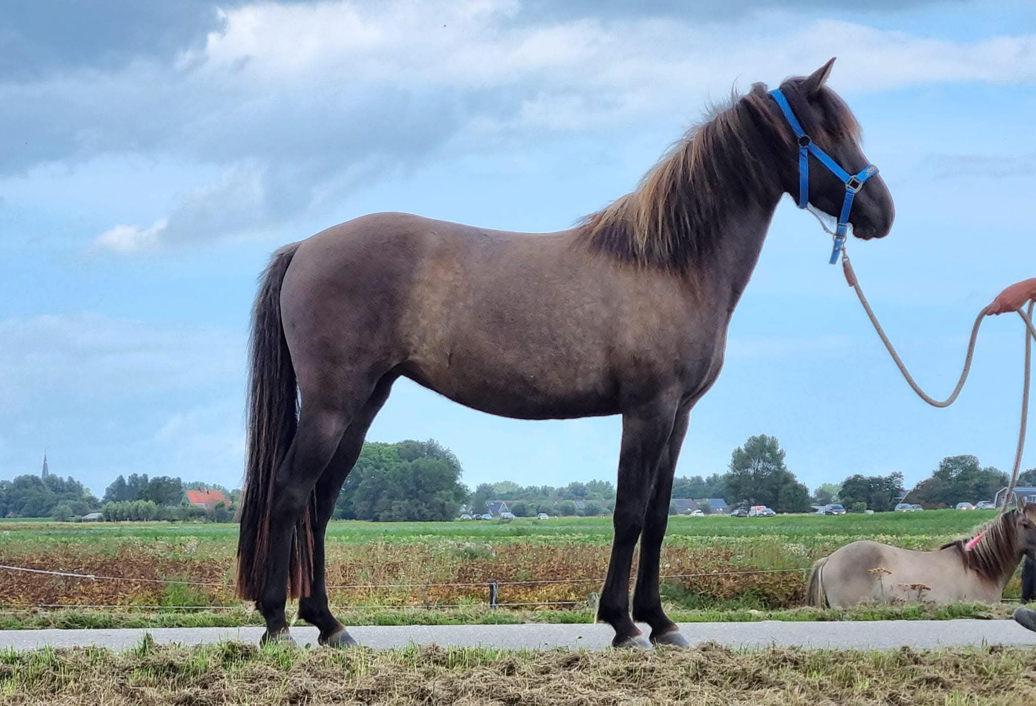 WhatsApp Image 2026-02-28 at 14.00.32