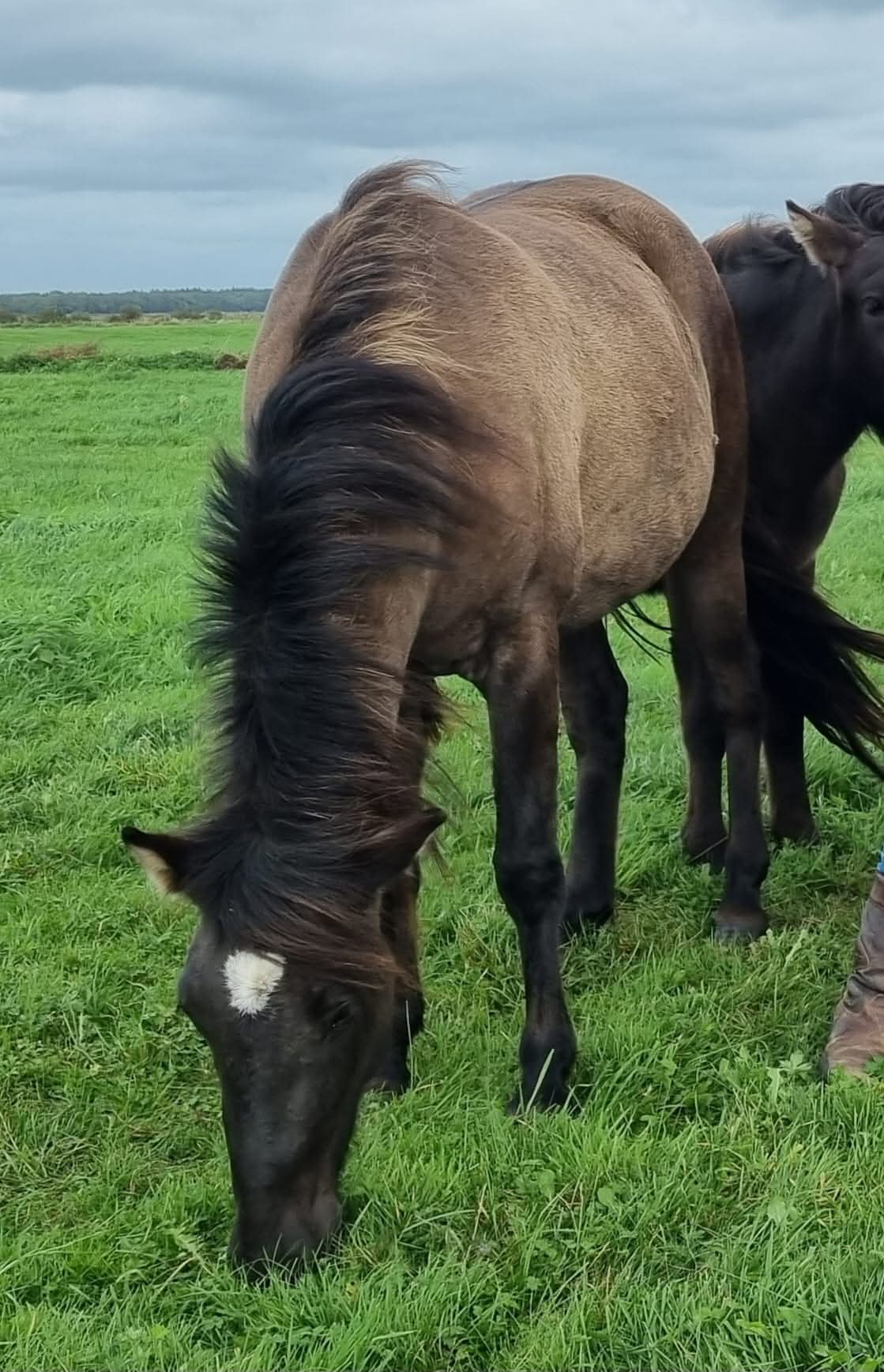 WhatsApp Image 2026-02-28 at 14.04.52