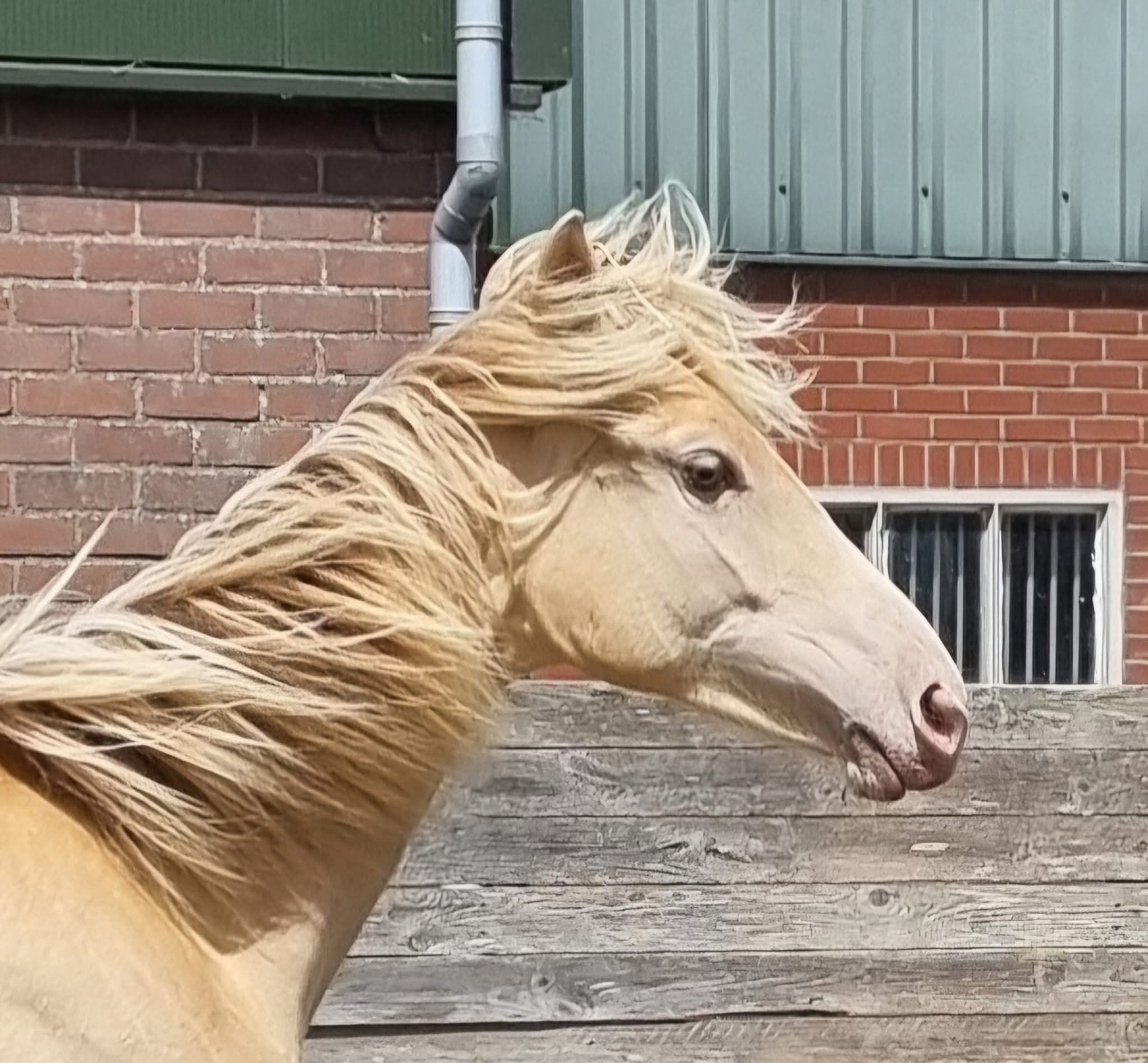 WhatsApp Image 2026-02-28 at 14.05.35