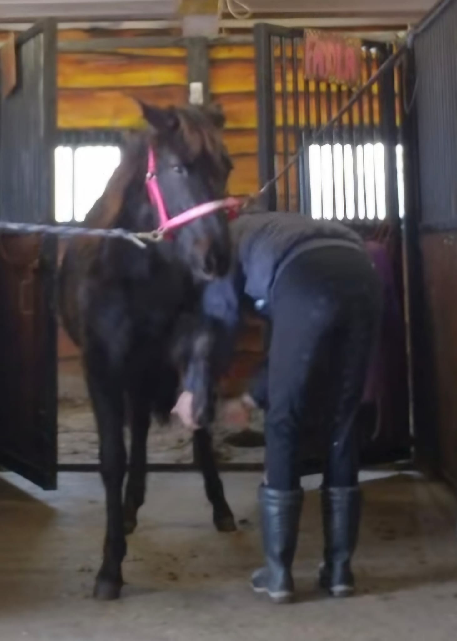 WhatsApp Image 2026-02-28 at 15.30.51 (1)