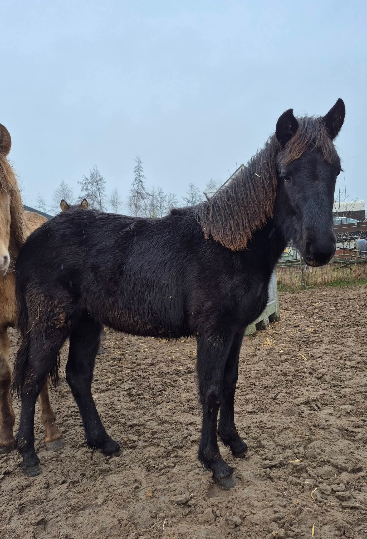 WhatsApp Image 2026-02-28 at 15.30.51 (2)